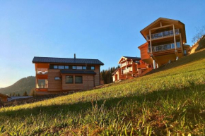 Hotels in Pichl